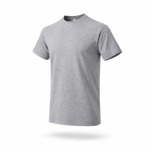 Imperial T-Shirt grey